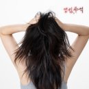 리버스케어 네이버블로그