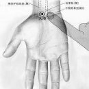 난경66 原穴 원혈 12개 보사법 병증치료 *끝까지 숙독 이미지