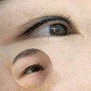 나도브로우 | 대전도안동<나도브로우>-내돈내산 속눈썹 문신 예약 방문 후기
