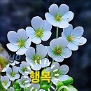 일요사진
