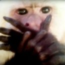 보문중학교 이미지