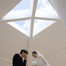 41590-02-03-09 | W.09 정원있는 스튜디오 비교 및 최종선택 (피아, 어뮤즈하우스, 라크마, 소율)