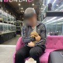 내 품안의 반려견(강서점) 이미지