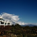 제주블랑 이미지