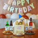 파티가는 댕댕이 | 강아지 케이크 만들기 고양이 수제간식 4종으로 생일파티 대성공