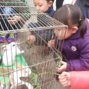 욱이네 농장 이미지