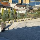 안온 민박 이미지