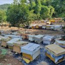 밤나무축산 이미지