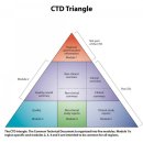 CTD