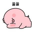 신안목장2 이미지