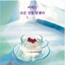 고전문학, 새계사와 함께 읽기(상) | 삶을 뒤흔드는 한 문장, 스즈키 유이 괴테는 모든 것을 말했다 책 후기