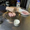 돈아돈아 이미지