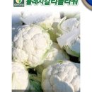 다농플라워