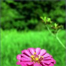 은운리 경로당 이미지