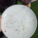 엉클스 게스트하우스 | 엉클스 게스트하우스│남미새에겐 천국. 누구나 여기선 여왕이 되. 가는 방법 헷갈리니까 알려드림