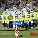 군산월명종합경기장주경기장 이미지