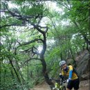 안성 서운산,망고강산,청룡산[140712] 이미지