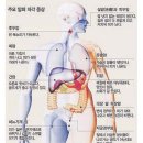 몸이 말하는 위험신호 34가지 이미지