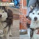 멍즈니랜드 이미지