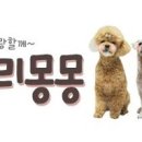 러블리 몽몽 이미지