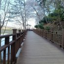 동구리 저수지 위 공원 | 화순 동구리 호수 공원 벚꽃 후기/주차장·추천방문시간 완벽정리(화순 가볼 만한 곳 feat.임신후기...