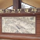 봉평고원메밀 이미지