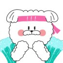 스파츄스 이미지