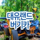 대유카 네이버블로그