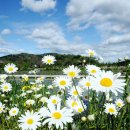 달하나빛 이미지