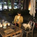 옴스 이미지