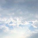 도니바니 애견유치원 이미지