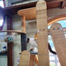 금마관광지 | 아이랑 익산 동물체험 금마 서동생태관광지 액션하우스