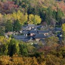 (테마투어)생태투어 이미지