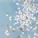 대우동양세탁 | [책] 강문종·김동건·장유승·홍현성, 조선잡사 朝鮮雜史