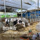 대왕목장 | 서울 근교 목장 체험 추천 여주 은아목장 낙농체험 피자만들기
