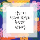 즐거운 동물병원 이미지