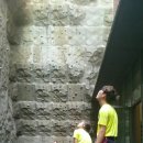 수지아르피아 이미지