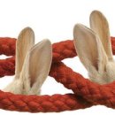 바로365한의원 이미지