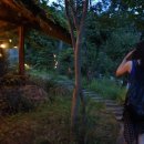 흥부네쉼터 이미지