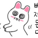 247핏(FIT) 이미지