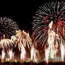 들꽃사랑 이미지