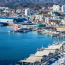 동해활어회센타 이미지