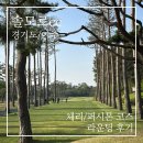 솔모로cc 맑은 날씨 속 체리/퍼시몬 코스 후기 (+3m 벙커턱, 맛집 추천)