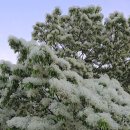 중산리 간이화장실 이미지