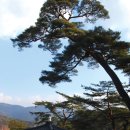 신재 이미지