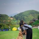 고니하우스 이미지