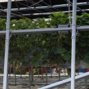 양강농장 이미지