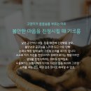 송 동물의료센터 이미지