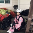 단양갈비백반 | [국내여행]단양 여행/단양 패러글라이딩/모~두 내돈내산