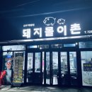 돼지몰이촌